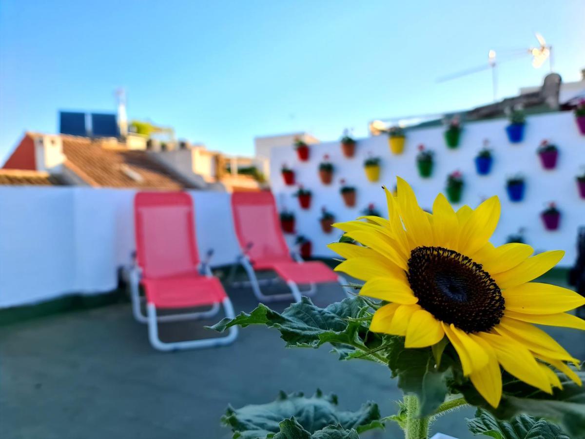 Hostal Funky By Arc House Cordoba Dış mekan fotoğraf