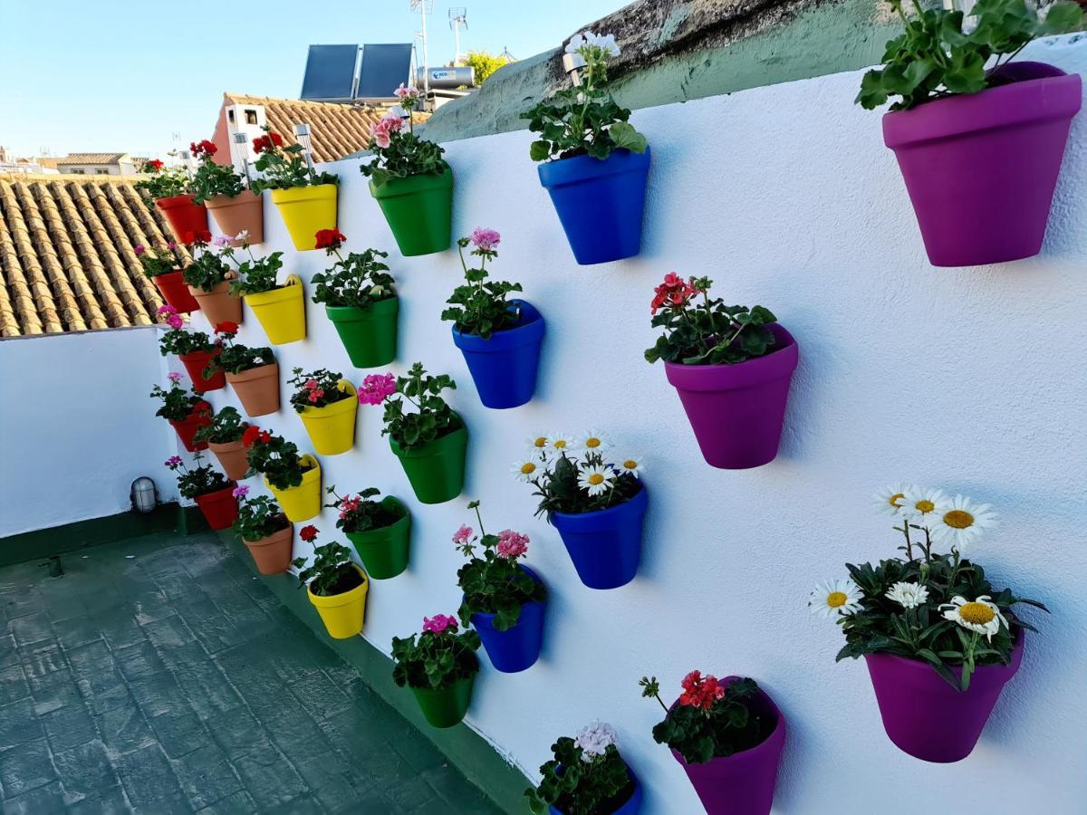 Hostal Funky By Arc House Cordoba Dış mekan fotoğraf